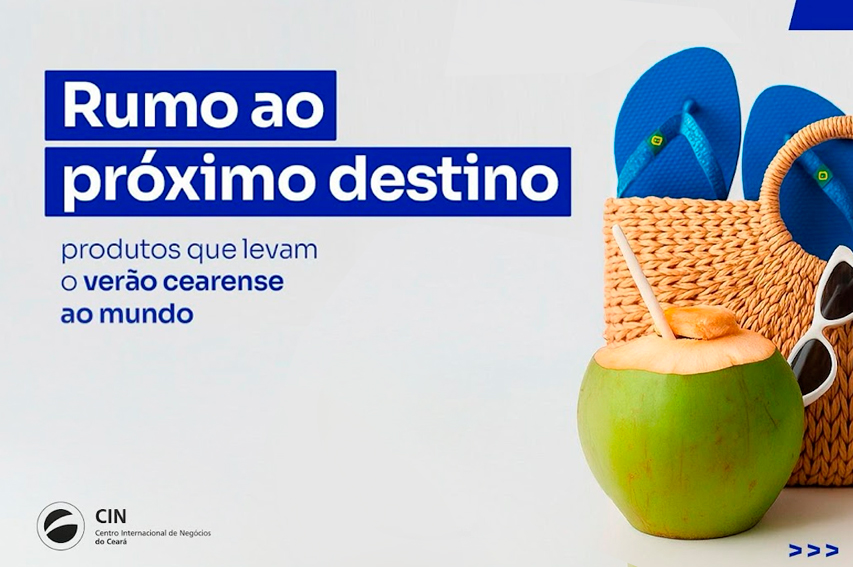 conteudo